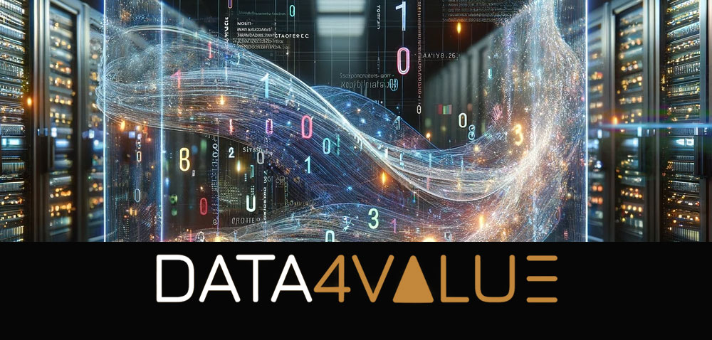 Data 4 value Excelia