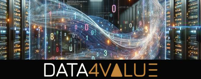 Data 4 value Excelia